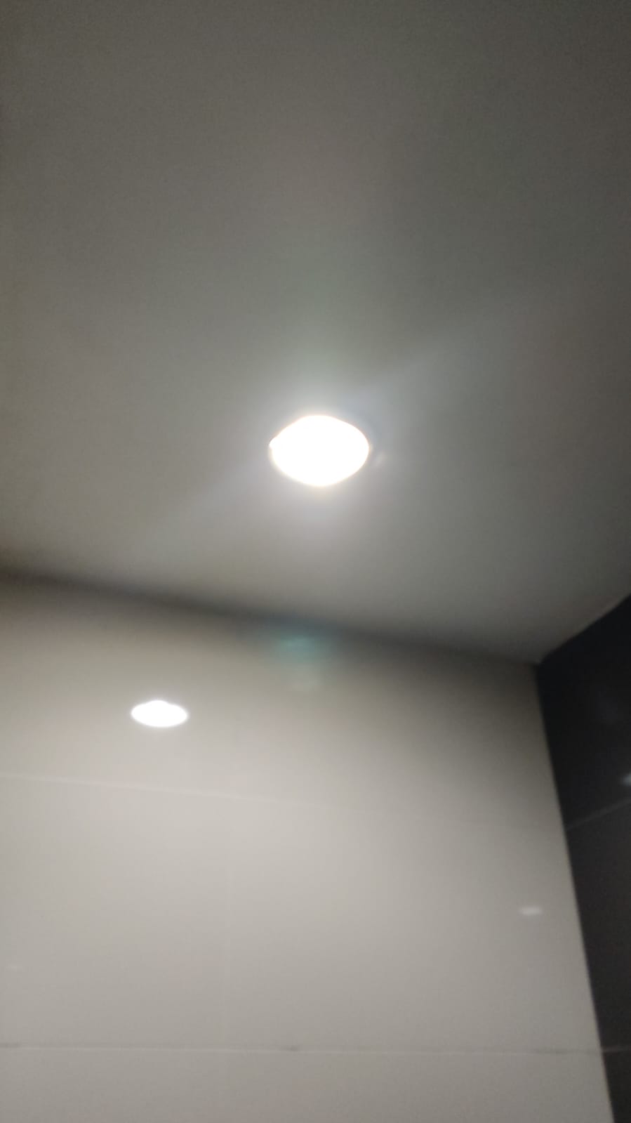 Downlight Bulb Replacement 2